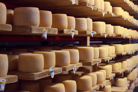 Cheese factory production shelves with aging cheeseの写真素材