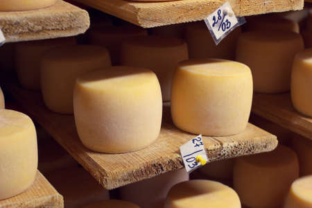 Shelves of cheese factory production with aging cheese