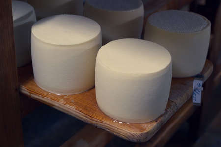 Fresh cheese aging on the shelves of milk factoryの写真素材
