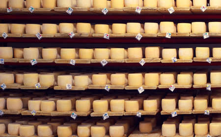 Many rows of cheese in the cellar with production datesの写真素材