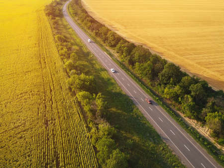 Countryside landscape with agriculture fields and asphalt road. Aerial view with sunlightの写真素材