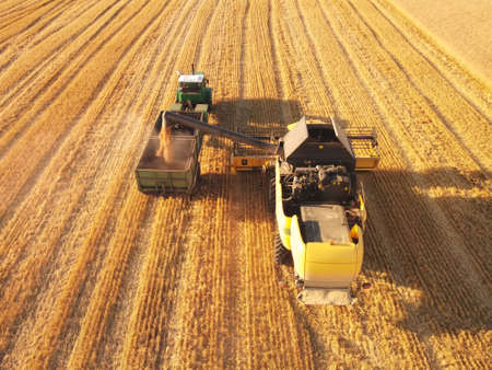 Combine harvester load wheat seed to the trailer. Aerial view agriculture industry workの写真素材