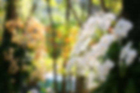 Blurred Image abstract for backgroundの写真素材