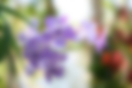 Blurred Image abstract for backgroundの写真素材