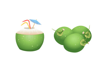 3d realistic Coconut Fruit, fresh Coconut Drink. Isolated whiteのイラスト素材