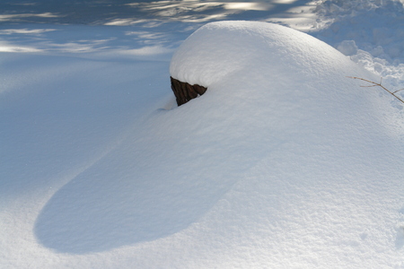 Stump Under Snow In The Winter Forestの写真素材