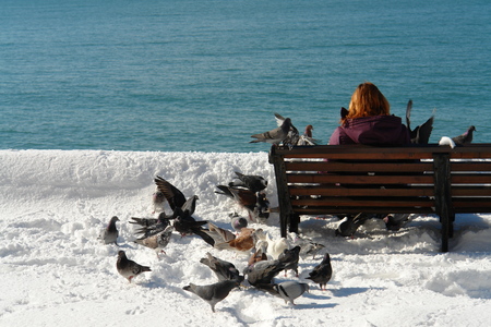 Woman on bench feeding pigeonsの写真素材