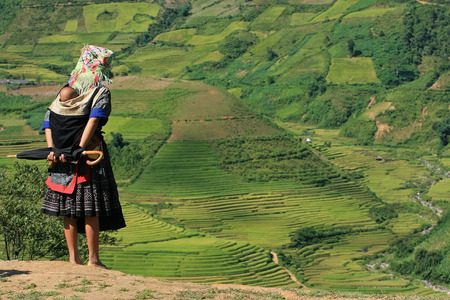 An unidentified Hmong woman standing on the side of a mountain pass and taking a look around a valley of paddy field.の写真素材