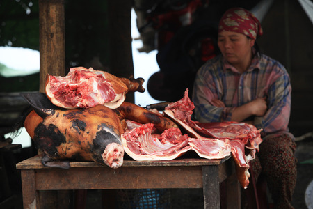 HOA BINH, VIETNAM - APR 10, 2014: Unidentified minority Vietnamese woman selling raw pork at a stall in a flea market on Thung Khe mountain pass. Flea market is very popular in Vietnam.のeditorial素材