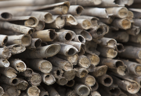 Bamboo background, material for agriculture products