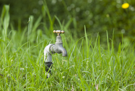 Faucet on green grass garden. No water.の写真素材