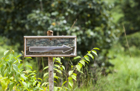 Way Out, the direction to go, solution concept. Wooden sign in the nature.
