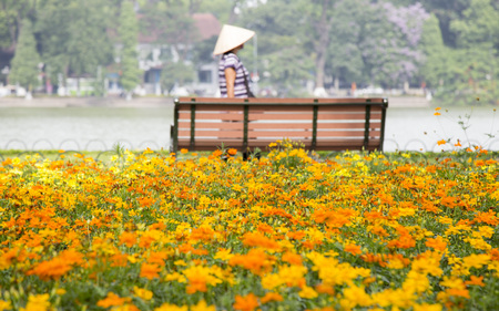Colorful flower garden with background of a Vietnamese woman walking through a bench on the bank of Hoan Kiem lake, Hanoiの写真素材