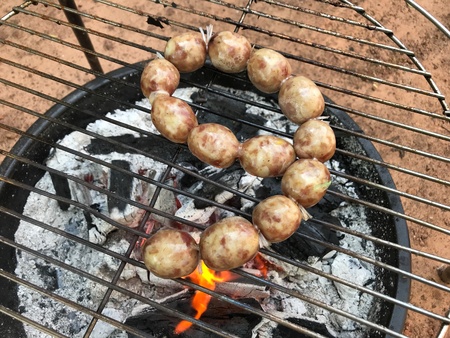 Saugesage grilled on fire in camping conceptの素材