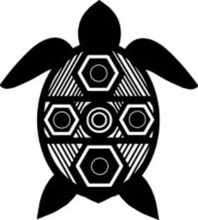 Sea Turtle 01