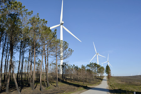 Wind power generators in the middle of nature surrounded by trees and blue sky