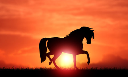 Horse Silhouette Sunset on the Field with nobody.の写真素材