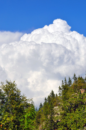 Clouds over the forestの写真素材