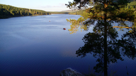 Big forest lakeの写真素材