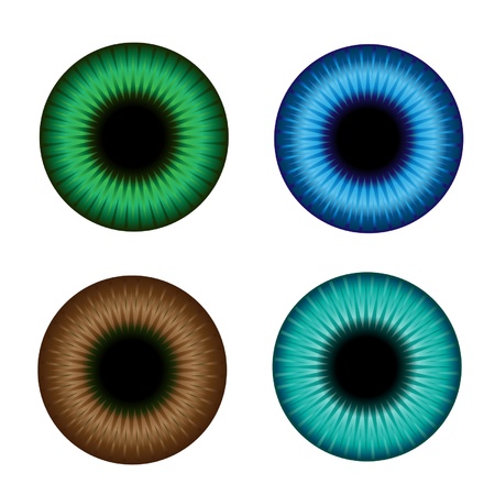 Illustration color iris のイラスト素材