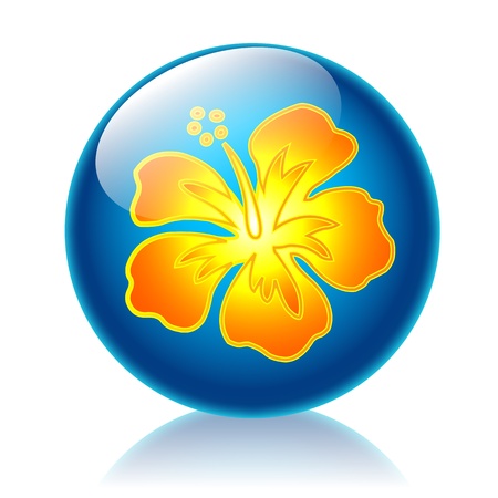 Aloha glossy icon の写真素材