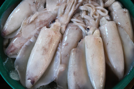 Fresh squid for sale in rural open market の写真素材
