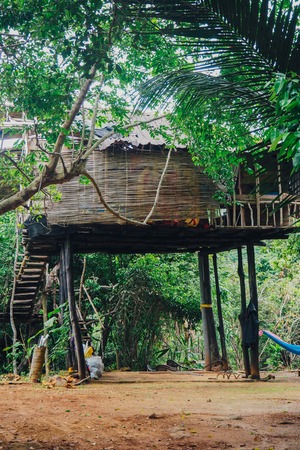 Tropical jungle with riverの写真素材