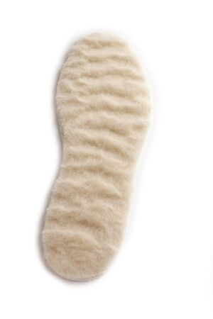 Isolated orthopedic insole on a white background. Treatment and prevention of flat feet and foot diseases. Foot care, comfort for the feet. Wear comfortable shoes. Medical insoles. Flat Feet Correction.の写真素材