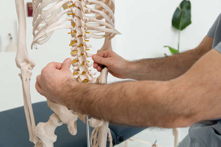 Doctor man pointing on pelvis of human skeleton anatomical model. Physiotherapist explaining joints...