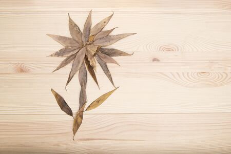 Flower. Image of a flower collected from small autumn leaves on a textured wooden surface of the table.の写真素材