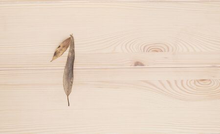 One. Number one folded from autumn leaves on a light wooden textured surface of the table.の写真素材