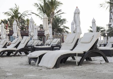 Empty loungers and palm trees on the sea coast. Beach in the morning, United Arab Emiratesの写真素材