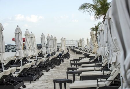 Ajman, United Arab Emirates. 18-01-20. Many empty sunbeds on the seashore. Beach in the early morning, palm trees. United Arab Emiratesの写真素材