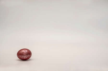 One Easter chicken egg festively painted with red paint lies on a white background of a banner. Studio photography.の写真素材