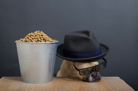 Dog Bulldog in 3D glasses and a hat put his head on the table next to a bucket of popcorn in the...