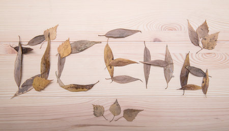 The word autumn from fallen autumn leaves in Russian. The word is collected from autumn leaves on a textured wooden table surface.の写真素材