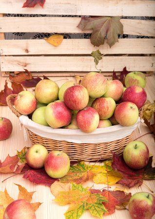 On a wooden texture table there is a wicker small basket in which ripe red apples lie.の写真素材