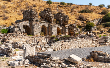 Ruins of ancient city Ephesus in Turkey