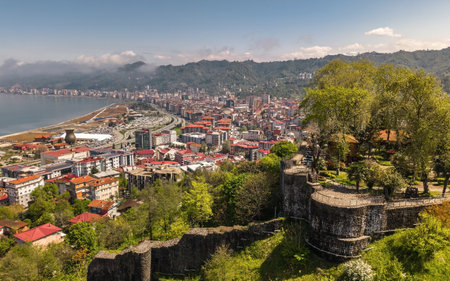 Aerial view of Rize