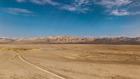 Arid savanna landscape