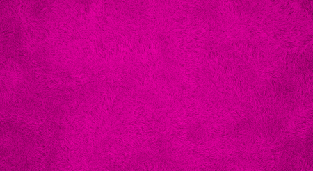 beautiful cozy carpet isolated on white background. 3d renderの写真素材