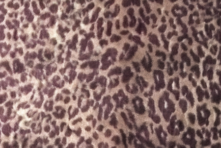 Fuzzy carpet isolated on white background. Interior element. 3d renderの写真素材