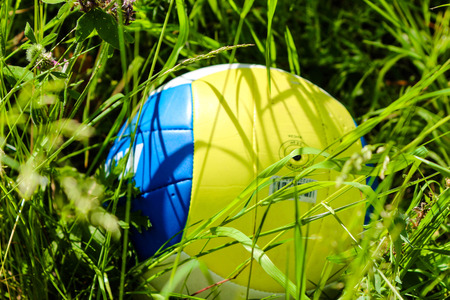 the ballの写真素材