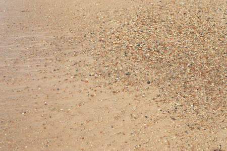 Background of sea sand and pebbles. High quality photo