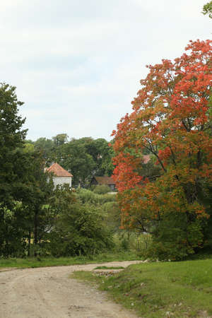 Golden autumn in Europe, Latvia. High quality photoの写真素材