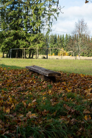 Wooden branchon the grass, covered with autumn leavess. Vertical frame. High quality photoの写真素材