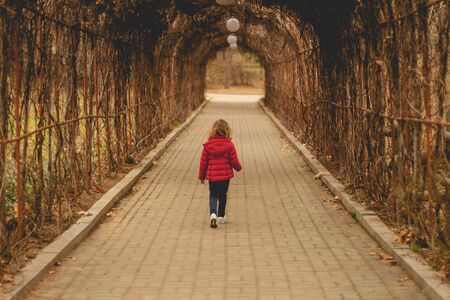 A little girl walks alone through the tunnel of autumn plants, holds in her hand an autumn leafの写真素材