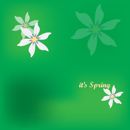Spring Flowerのイラスト素材
