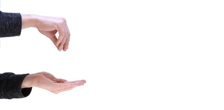 Hand showing a giving something gesture on white
