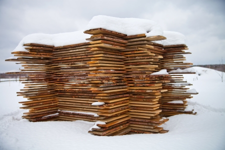 A pile of pine boards in the snowの写真素材